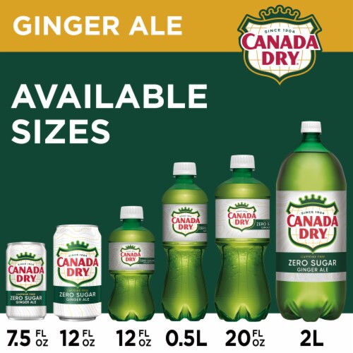 Canada Dry® Zero Sugar Ginger Ale Soda Mini Cans Perspective: left