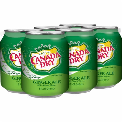 Canada Dry Ginger Ale Soda Perspective: left