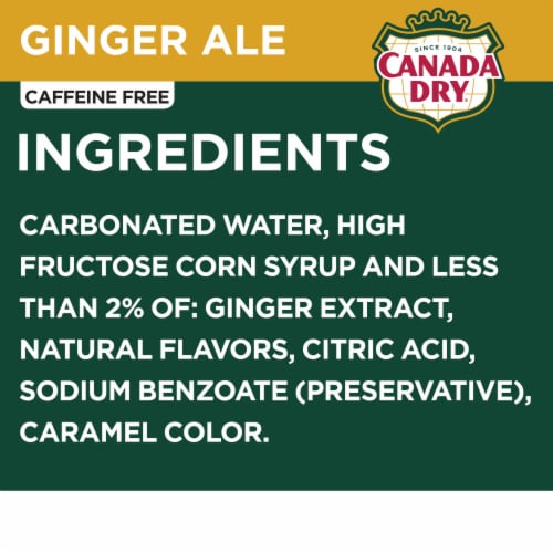 Canada Dry Ginger Ale Soda Bottles Perspective: left