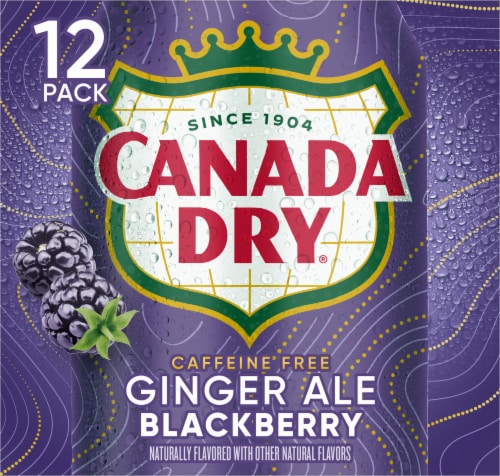 Canada Dry Blackberry Ginger Ale Soda Cans Perspective: left