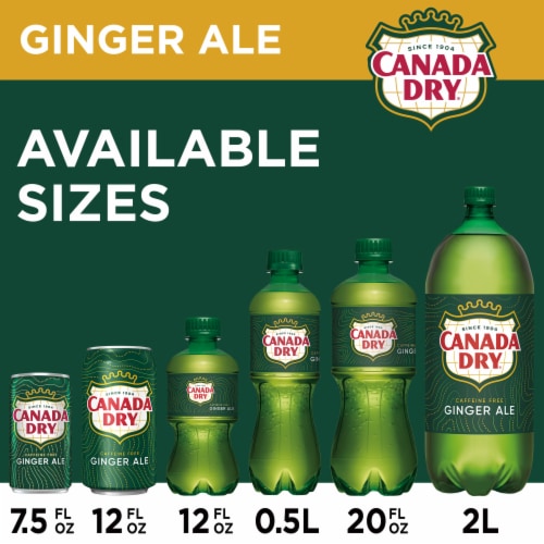 Canada Dry Ginger Ale Soda Mini Cans Perspective: left