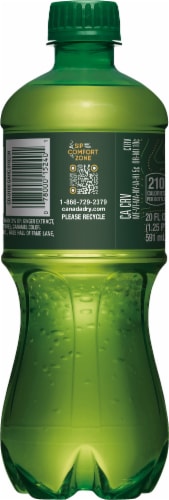 Canada Dry® Ginger Ale Soda Bottle Perspective: left