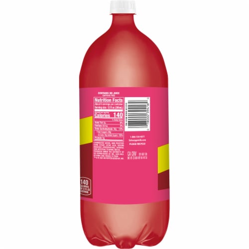 Schweppes® Cranberry Raspberry Ginger Ale Soda Bottle Perspective: left