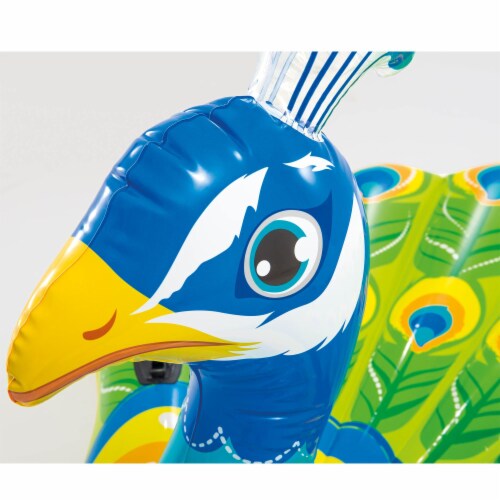 Intex peacock hot sale