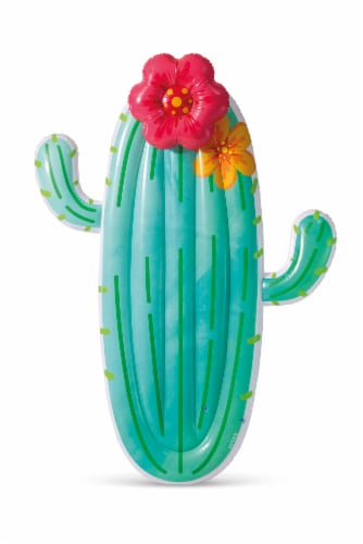 Intext Cactus Float Perspective: left