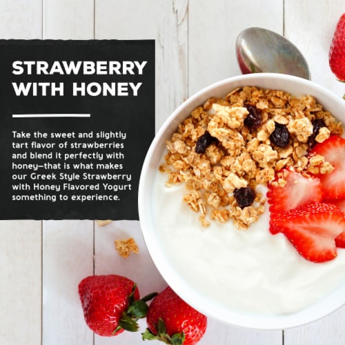 The Greek Gods® Strawberry with Honey Greek Yogurt Tub Perspective: left