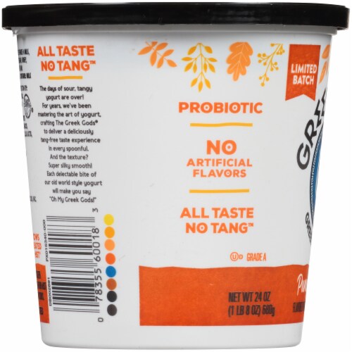 Greek God Limited Batch Yogurt - Pumpkin Spice Perspective: left