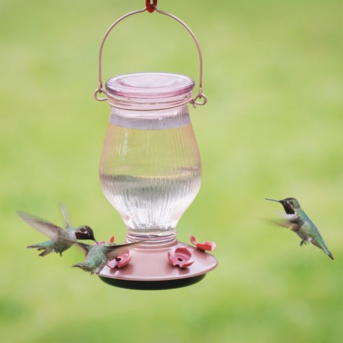 Perky-Pet Rose Gold Top-Fill Glass Hummingbird Feeder Perspective: left