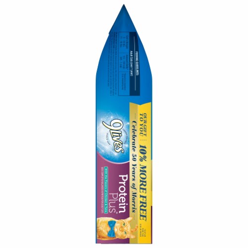 9Lives Protein Plus Dry Cat Food Perspective: left