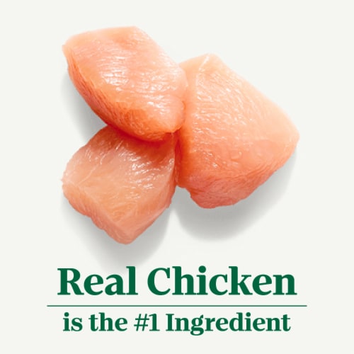Nutro Natural Choice Adult Dry Dog Food Chicken and Brown Rice Recipe Perspective: left
