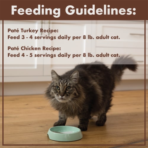 Nutro grain free cat food hotsell