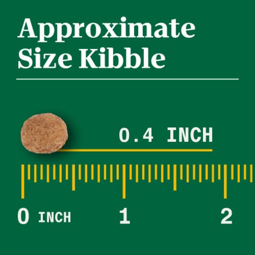 NUTRO NATURAL CHOICE Chicken & Brown Rice Dog Kibble Adult Dry Dog Food Perspective: left