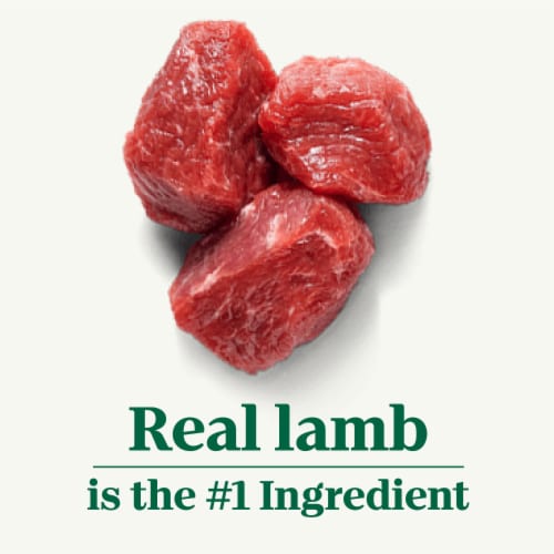 Nutro Natural Choice Large Breed Adult Dry Dog Food Lamb and Brown Rice Recipe Perspective: left