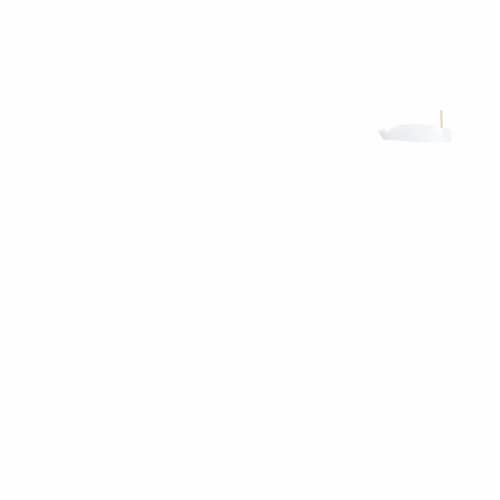 Dove Daily Moisture Shampoo & Conditioner Perspective: left