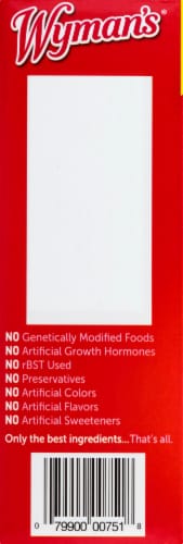 Wyman's® Just Fruit™ Raspberries Strawberries & Greek Yogurt Bites Perspective: left