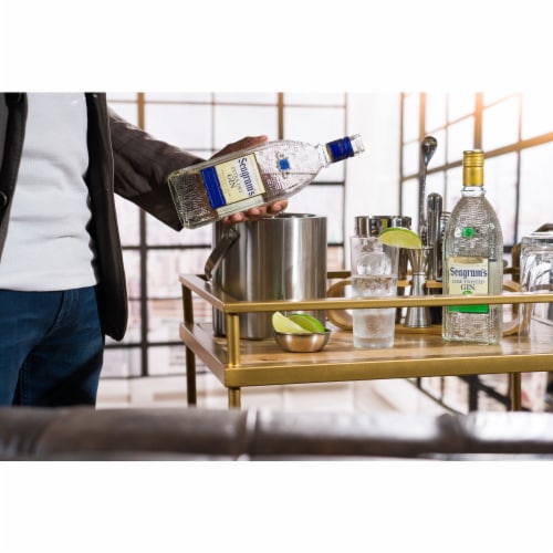 Seagram's Extra Dry Gin Perspective: left