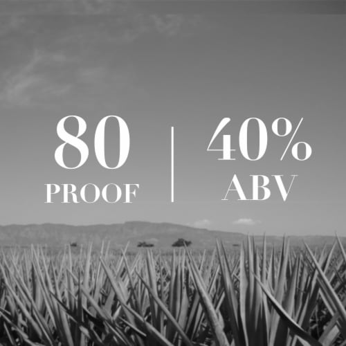 CORZO® Anejo Tequila Perspective: left