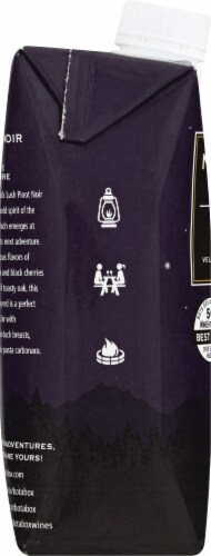 Bota Box Nighthawk Black Lush Pinot Noir Table Wine Perspective: left