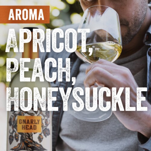 Gnarly Head Lodi California Pinot Grigio White Wine Perspective: left
