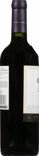 Casillero del Diablo Merlot Red Wine Perspective: left