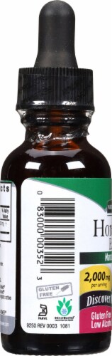 Nature's Answer® Horehound Extract Herbal Supplement 2000mg Perspective: left