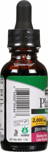 Nature's Answer Plantain Herbal Supplement 2000mg Perspective: left