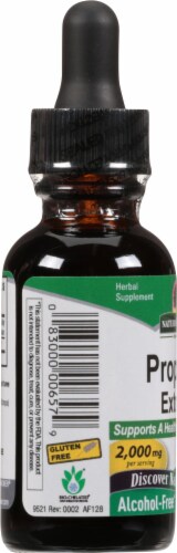 Nature's Answer Propolis Herbal Supplement 2000mg Perspective: left