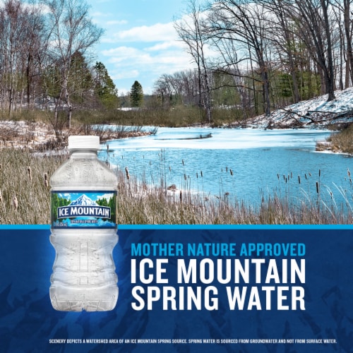 Ice Mountain 100% Natural Spring Water Bottle Perspective: left