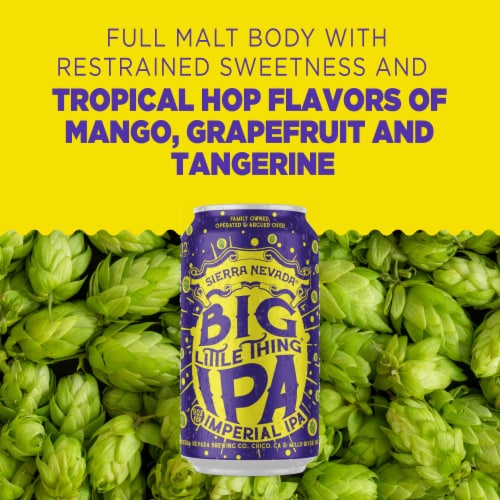 Sierra Nevada Big Little Thing Imperial IPA Craft Beer Perspective: left