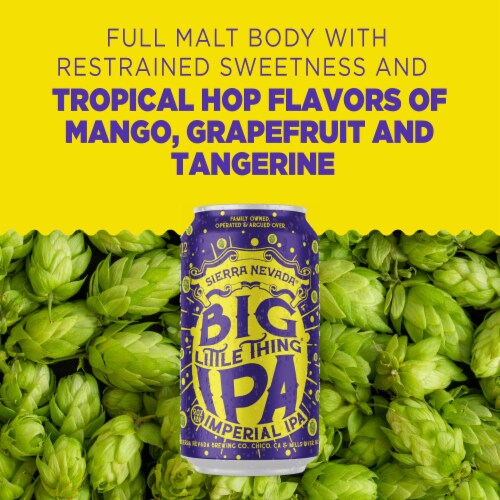 Sierra Nevada Brewing Co. Big Little Thing Imperial IPA Beer Perspective: left