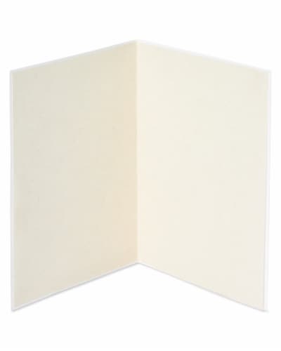 Papyrus Blank Valentine’s Day Card (Floral Love) Perspective: left