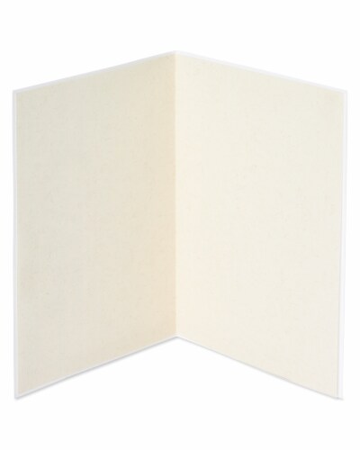 Papyrus Blank Valentine’s Day Card (Floral Love) Perspective: left