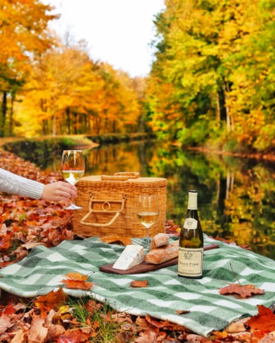 Louis Jadot Pouilly-Fuisse French White Wine Perspective: left