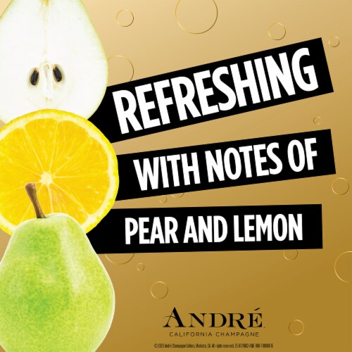 Andre Brut Champagne Sparkling Wine Perspective: left