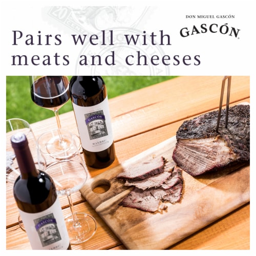 Don Miguel Gascon Malbec Argentina Red Wine Perspective: left