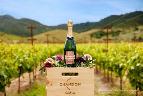 Chandon California Blanc de Noirs Sparkling Wine Perspective: left