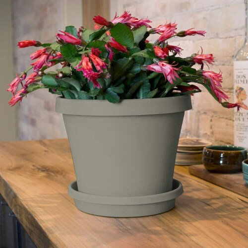 Bloem 8 In. Dia. Pebble Stone Poly Classic Flower Pot TR0883 Perspective: left