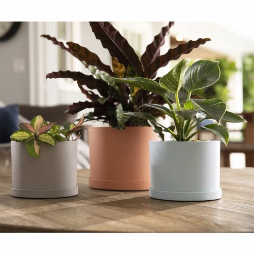 Bloem Mathers Planter w/Saucer Tray Misty Blue Garden Plater, White, 8 Perspective: left