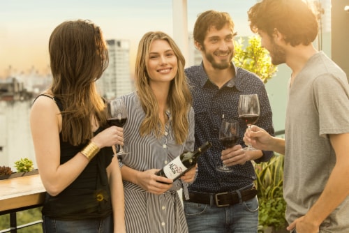 Terrazas de los Andes Altos del Plata Malbec Red Wine Perspective: left