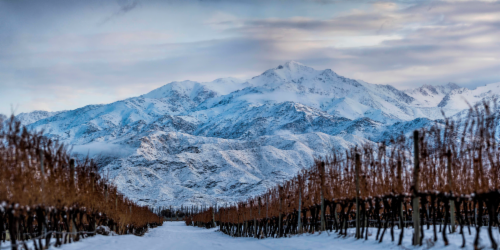 Terrazas De Los Andes Altos Del Plata Chardonnay Argentina White Wine Perspective: left