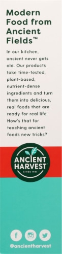 Ancient Harvest™ Plant-Based Green Lentil Penne Pasta Perspective: left