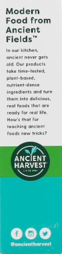 Ancient Harvest Veggie Pasta Rotini Perspective: left