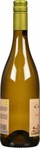 Cono Sur Sustainable Sauvignon Blanc Wine Perspective: left
