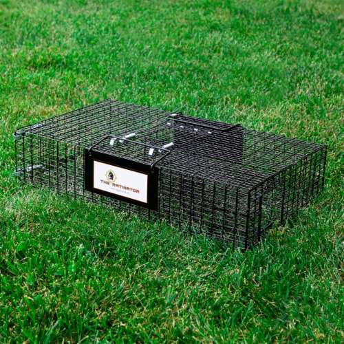 Rugged Ranch RATTR Ratinator Live Rat Multi-Catch Animal Metal 2 Door Trap  Cage, 1 Piece - Baker's