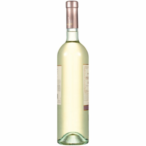 Santi Sortesele Pinot Grigio Valdadige White Wine Perspective: left