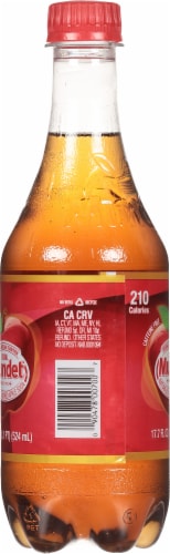 Sidral Mundet Naturally Flavored Apple Soda Perspective: left