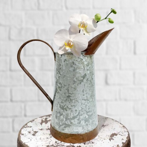 Galvanized Pitcher, 13 Perspective: left