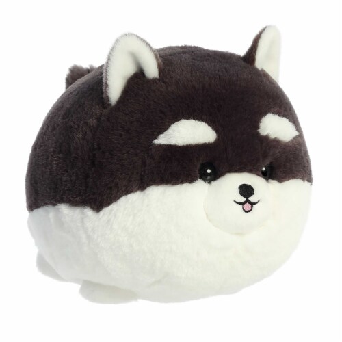 Aurora Small Black N White Teddy Pets 10 inch Black N White Pom Playful ...