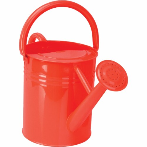 Panacea 1 Gal. Assorted Metal Watering Can 84830 Perspective: left