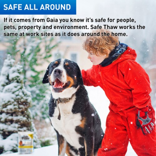 Safe Thaw Industrial Strength Salt Free Traction Ice Melt, 10lb 7oz Jug (2 Pack) Perspective: left